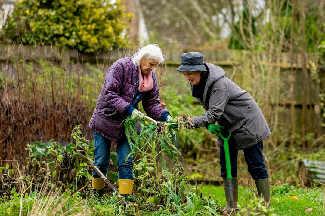 senior gardening